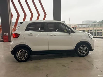 2020 Leapmotor T03 400 Luxury Edition, фото 3, лот 10445058