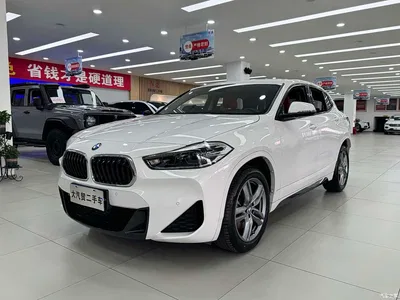 2022 BMW X2 sDrive25i M Sport Package, фото 1, лот 10418855