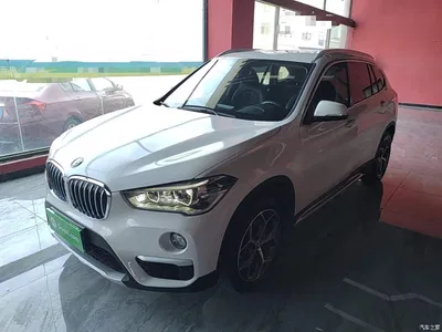 2019 BMW X1 xDrive20Li Premium Model, фото 1, лот 10467957