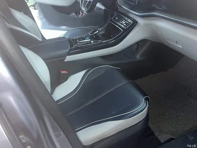 2021 BYD Qin PLUS EV 500KM Luxury Model, фото 3, лот 11196167