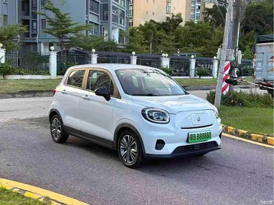 2021 Leapmotor T03 400 Luxury Edition, фото 3, лот 11003142