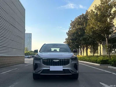 2026 Geely Boyue 1.5TD True Love, фото 4, лот 10394191