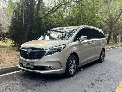 2022 Buick GL8 ES Landmark 653T Comfort, фото 1, лот 10257549