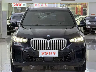 2023 BMW X5 xDrive 40Li M Sport Package, фото 3, лот 10462571