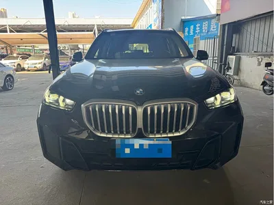 2025 BMW X5 Model xDrive 30Li Exclusive M Sport Blackout Package, фото 2, лот 11580438