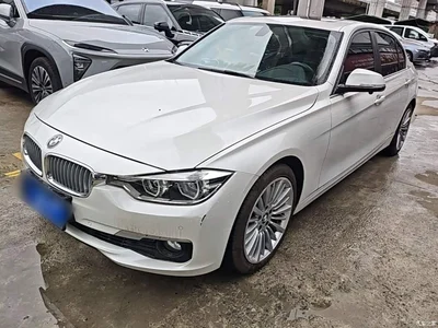 2018 BMW 3 Series 320Li Fashion Style, фото 1, лот 10457731