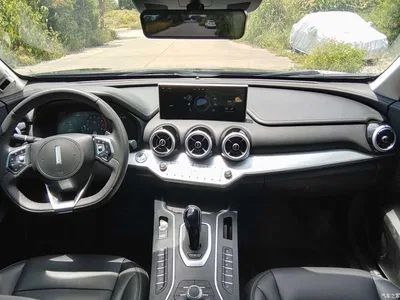 2020 WEY VV7 Model 2.0T Flagship, фото 4, лот 11179675