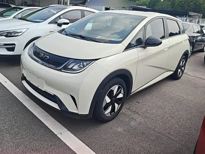2024 BYD Dolphin Glory Edition 420km Freedom Edition, фото 1, лот 10252290