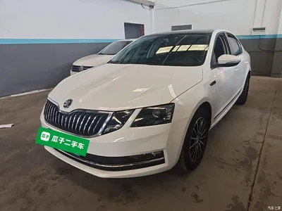 2019 Škoda Octavia 1.5L Automatic Smart Luxury China VI, фото 1, лот 10347970