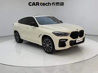 2020 BMW X6 xDrive40i M Sport Package, фото 2, лот 10469421