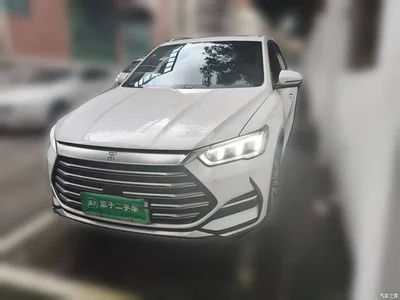 2022 BYD Song Pro New Energy DM-i 110km Flagship Pro, фото 1, лот 10273860