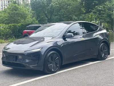 2025 Tesla Model Y Rear-Wheel Drive, фото 1, лот 11569933
