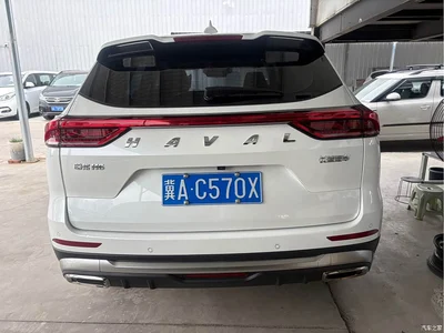 2023 Haval H6 National Trend Edition 1.5T Automatic Champion, фото 4, лот 10312611