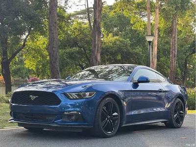 2017 Ford Mustang 2.3T Performance Edition, фото 1, лот 10294179