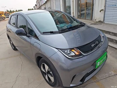 2024 BYD Dolphin Glory Edition 420km Freedom Edition, фото 4, лот 11188210
