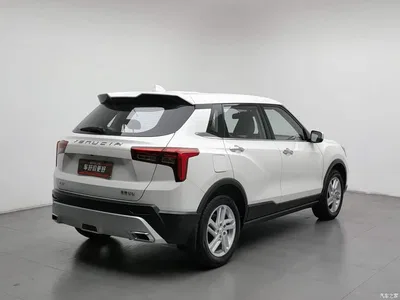 2020 Venucia T60 Model 1.6L Manual Zhiguan Edition China VI, фото 2, лот 10394016
