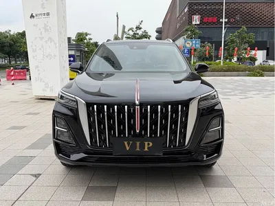 2023 Hongqi HS5 2.0T Flag Enjoy Pro Edition, фото 2, лот 10414880