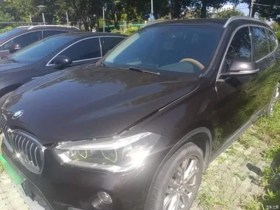 2019 BMW X1 sDrive20Li Leading Model, фото 1, лот 10467257