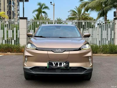 2018 Weltmeister EX5 400 Extra Innovation Edition, фото 2, лот 10450260