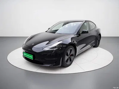 2022 Tesla Model 3 Model Rear-Wheel Drive Version, фото 1, лот 11241684