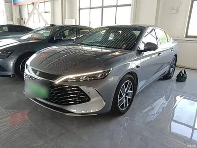 2025 BYD Qin L DM-i Smart Drive 80KM Premium, фото 1, лот 10259458