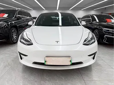 2019 Tesla Model 3 Standard Range Rear-Wheel Drive Upgrade, фото 2, лот 10352605