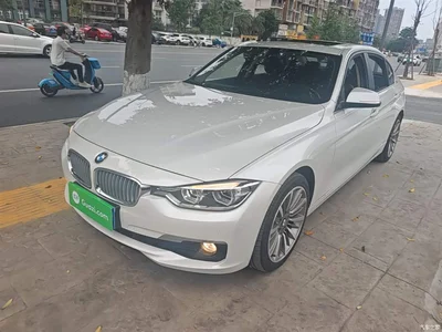 2019 BMW 3 Series 320Li Fashion Type, фото 2, лот 10457989