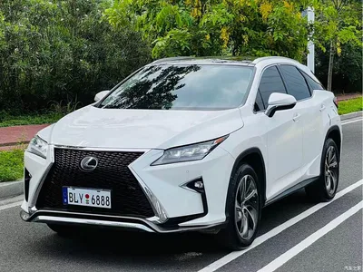 2016 Lexus RX 300 4WD Elegance Edition (China V), фото 1, лот 10310947