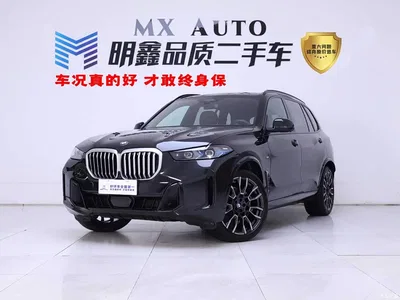 2023 BMW X5 xDrive 40Li M Sport Black Night Package, фото 1, лот 11534344