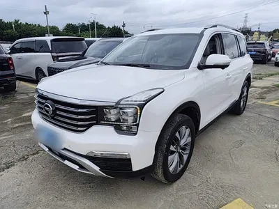 2017 GAC Trumpchi Trumpchi GS8 320T 2WD Luxury Smart Connect (7-seater), фото 1, лот 10421757