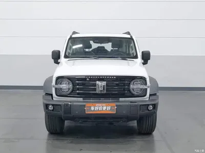 2021 Tank 300 Off-road Version 2.0T Conqueror, фото 3, лот 10954997