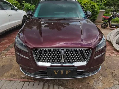 2020 Lincoln Adventurer 2.0T 2WD Premium Enjoyment Edition, фото 2, лот 10357652