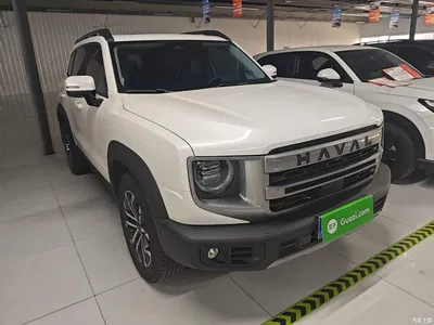 2024 Haval Big Dog 1.5T DCT Border Collie Edition, фото 4, лот 10361499
