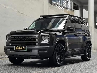 2024 Haval Meng Long NEV Hi4 145 Pro, фото 1, лот 10295863