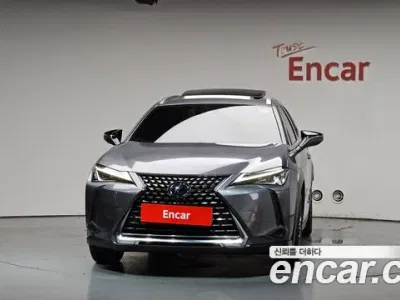 2019 Lexus UX 250h 2.0 2WD, фото 3, лот 10033183