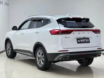 2021 Haval H6 Model National Trend Edition 1.5T Auto Champion, фото 4, лот 10296747