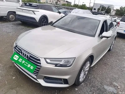2019 Audi A4L 40 TFSI Progressive (China VI), фото 1, лот 10439112