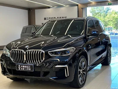 2022 BMW X5 Facelift xDrive 30Li Premium M Sport Package, фото 1, лот 10434746