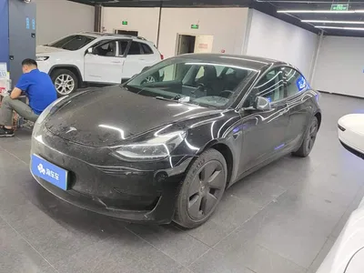 2022 Tesla Model 3 Model Rear-Wheel Drive Version, фото 1, лот 10393595