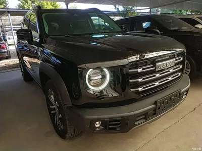 2022 Haval Big Dog 1.5T DCT FWD Border Collie Edition, фото 4, лот 10361492