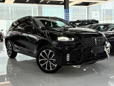 2020 WEY VV7 Model 2.0T Flagship, фото 3, лот 11011518