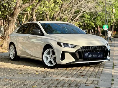 2024 GAC Trumpchi Trumpchi Emkoo Model 270T DCT Shadow Leopard S Edition, фото 3, лот 11502048