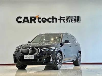2022 BMW X5 xDrive 30Li Premium M Sport Package, фото 1, лот 10418870