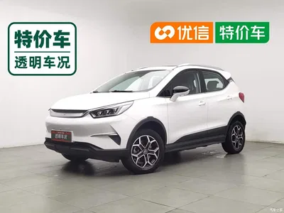 2021 BYD Yuan Pro 401KM Premium Model, фото 1, лот 11098549