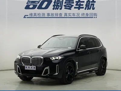 2023 BMW X5 xDrive 30Li Premium M Sport Package, фото 1, лот 10409676