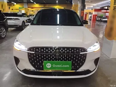 2023 Lincoln Adventurer 2.0T 2WD Zunxiang Edition, фото 3, лот 10621379