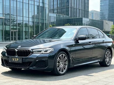 2018 BMW 5 Series 530Li Leading M Sport Package, фото 1, лот 11183775