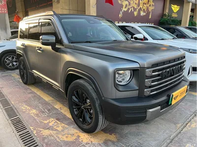 2024 Haval Meng Long NEV Hi4 145 Pro, фото 3, лот 11475984