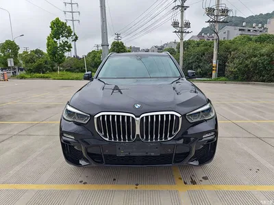 2020 BMW X5 (Import) xDrive30i M Sport Package, фото 2, лот 10464146