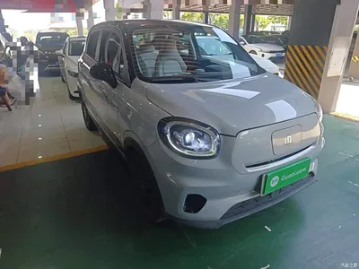 2023 Leapmotor T03 310 Light Edition, фото 4, лот 10441624